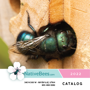 Mason Bee Nest, Home, and Habitat Catalog